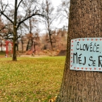 Akce Člověče v Parku Budoucnost - Měj se...