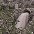 Dračí hlava v klášterní zahradě