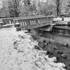 Mostek v zimě