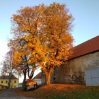 Podzimní kouzlení