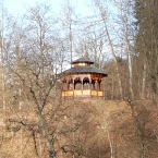 Předjaří v parku