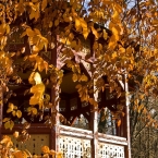 Altán
