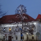 Bez sněhu