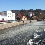 Holomráz