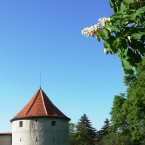 Horní valy