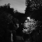 Noční ulička