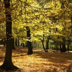 Park Budoucnost