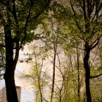 Relax