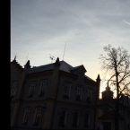 Škola