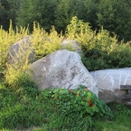 Stínohra