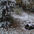 Tyršovy sady