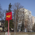 Vaněčkova