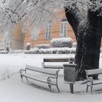 Velikonoční neděle l.p. 2013