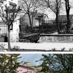 Zahrada