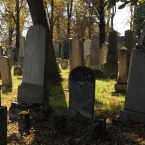 Židovský hřbitov